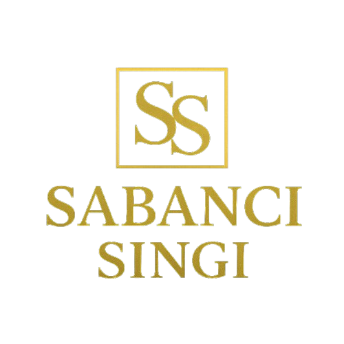 ChatGPT_Image_16_Eki_2025_11_59_53-removebg-preview